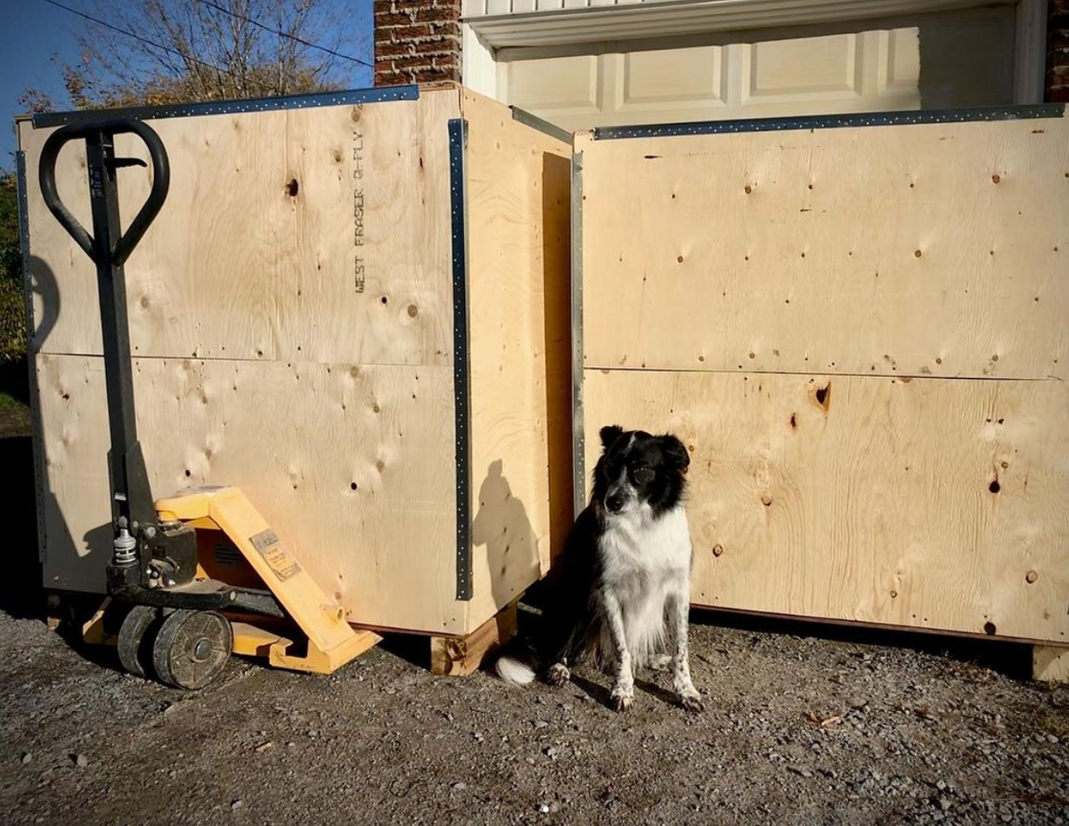 FIT volumes shipping dog